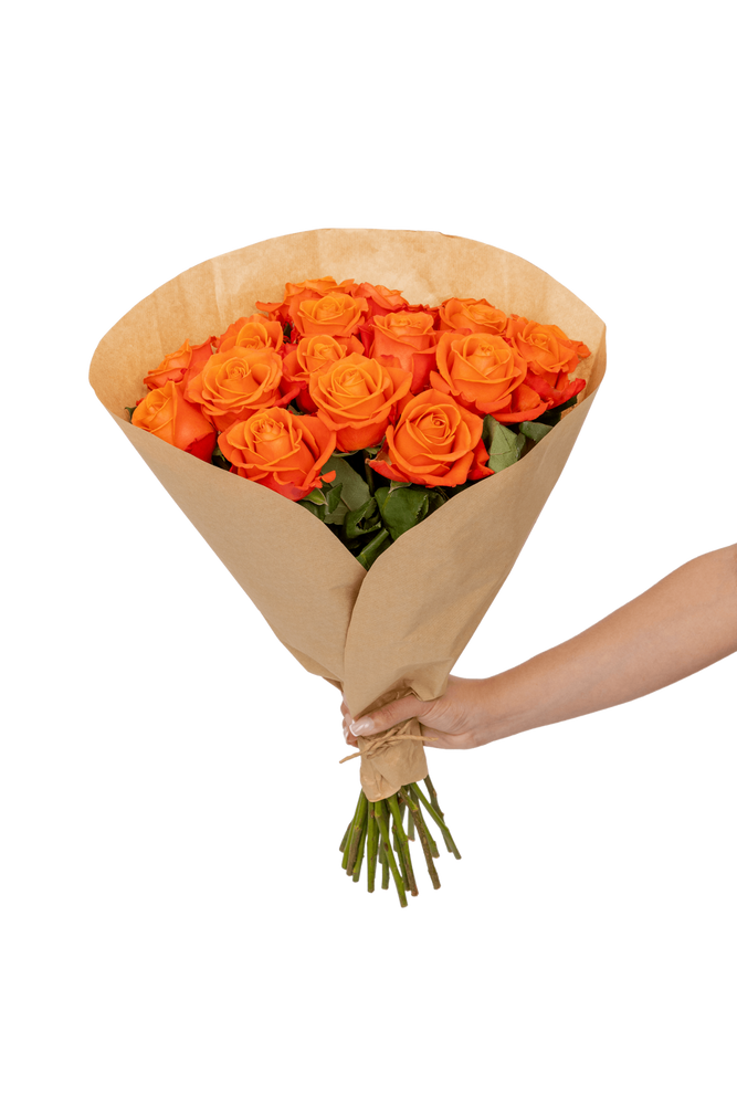 
                  
                    Orange Roses (18 Stems)
                  
                