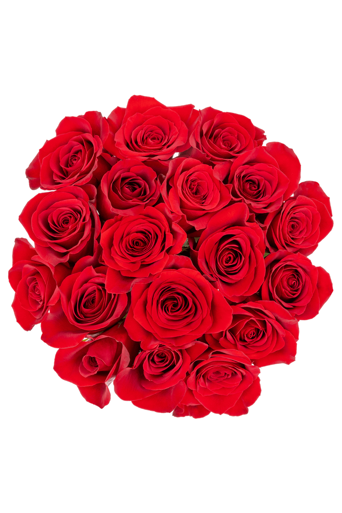 
                  
                    Red Roses (18 Stems)
                  
                