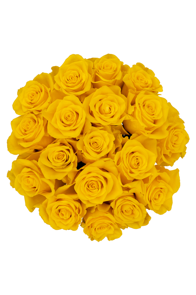 
                  
                    Yellow Roses (18 Stems)
                  
                