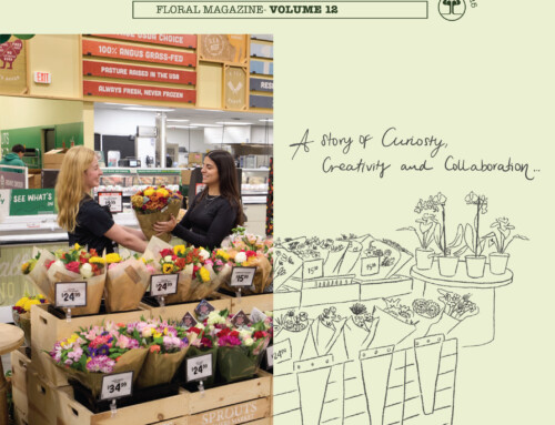 The Edit – Volume 12