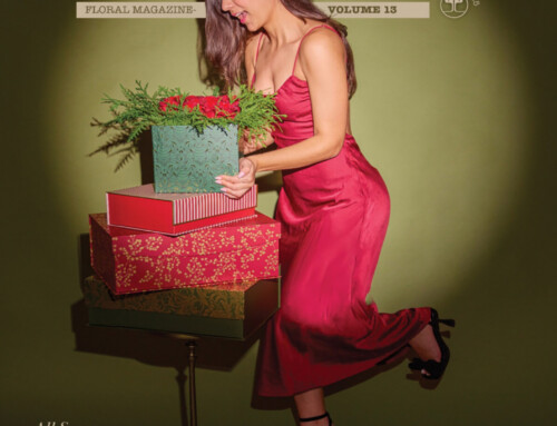 The Edit – Volume 13