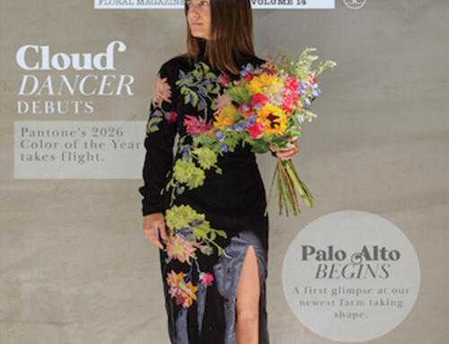 The Edit – Volume 14