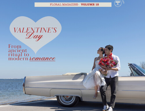 The Edit – Volume 15