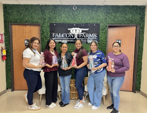 Celebrating Women’s Day in Texas