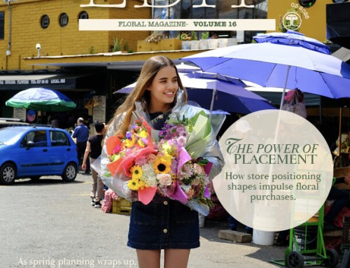 The Edit – Volume 16