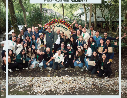 The Edit – Volume 17